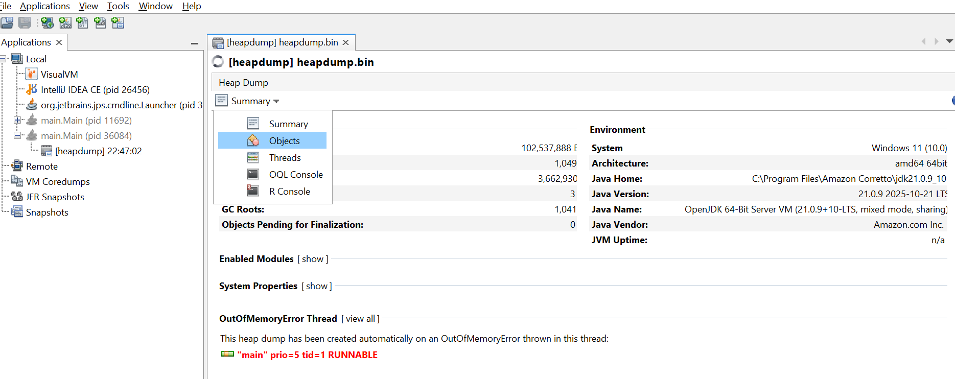 Object view in Visual VM